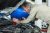 Homme qui branche sa voiture