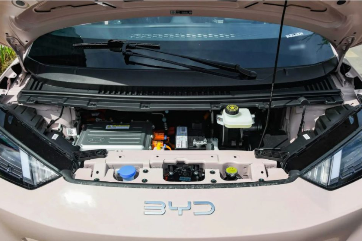 Le moteur de la Byd Seagull